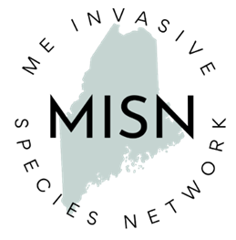 Logo of the Maine Invasive Species Network showing MISN acronym against the map of Maine as a background.